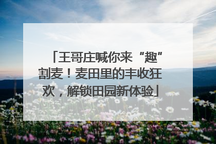 王哥庄喊你来“趣”割麦！麦田里的丰收狂欢，解锁田园新体验