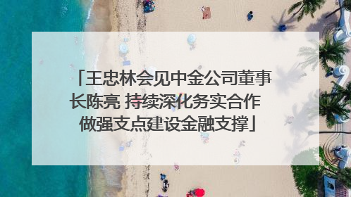 王忠林会见中金公司董事长陈亮 持续深化务实合作 做强支点建设金融支撑