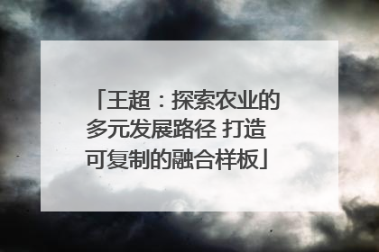 王超：探索农业的多元发展路径 打造可复制的融合样板