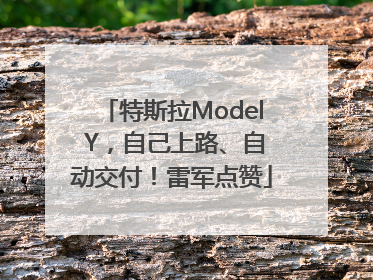 特斯拉Model Y，自己上路、自动交付！雷军点赞