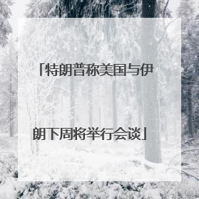 特朗普称美国与伊朗下周将举行会谈