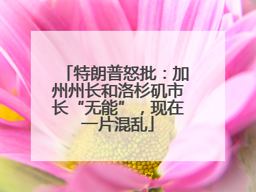 特朗普怒批：加州州长和洛杉矶市长“无能”，现在一片混乱