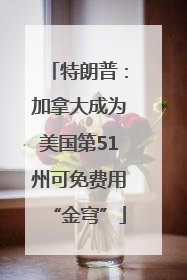 特朗普：加拿大成为美国第51州可免费用“金穹”
