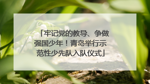 牢记党的教导、争做强国少年！青岛举行示范性少先队入队仪式