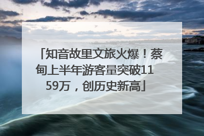 知音故里文旅火爆！蔡甸上半年游客量突破1159万，创历史新高