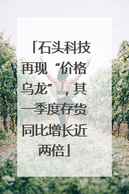 石头科技再现“价格乌龙”，其一季度存货同比增长近两倍