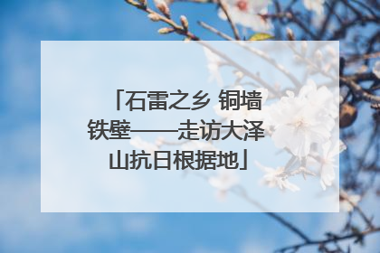 石雷之乡 铜墙铁壁——走访大泽山抗日根据地