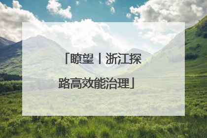 瞭望丨浙江探路高效能治理