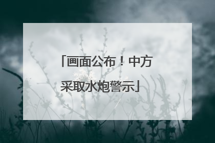 画面公布！中方采取水炮警示