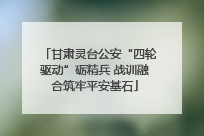 甘肃灵台公安“四轮驱动”砺精兵 战训融合筑牢平安基石