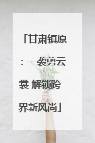 甘肃镇原：一袭剪云裳 解锁跨界新风尚
