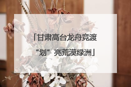 甘肃高台龙舟竞渡“划”亮荒漠绿洲