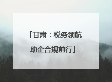 甘肃：税务领航 助企合规前行