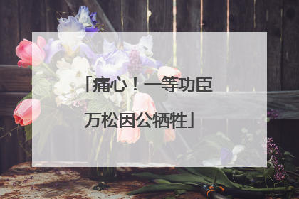 痛心！一等功臣万松因公牺牲