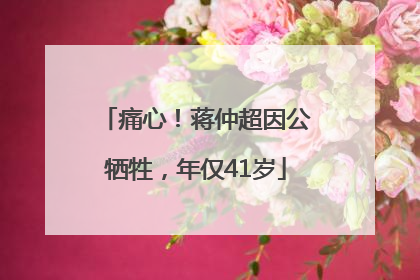 痛心！蒋仲超因公牺牲，年仅41岁