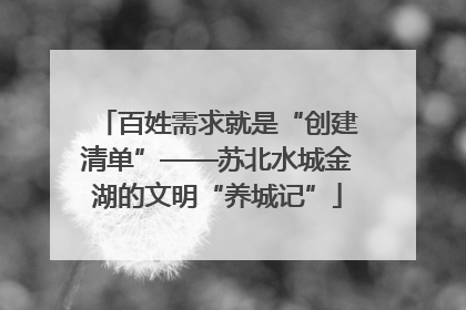 百姓需求就是“创建清单”——苏北水城金湖的文明“养城记”