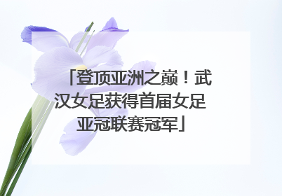 登顶亚洲之巅！武汉女足获得首届女足亚冠联赛冠军