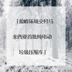 盈峰环境交付马来西亚首批纯电动垃圾压缩车