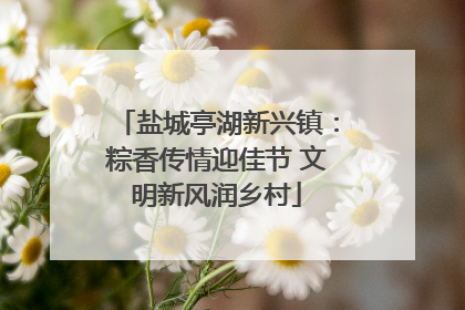 盐城亭湖新兴镇：粽香传情迎佳节 文明新风润乡村
