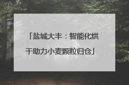 盐城大丰：智能化烘干助力小麦颗粒归仓