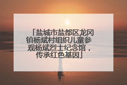 盐城市盐都区龙冈镇杨斌村组织儿童参观杨斌烈士纪念馆，传承红色基因