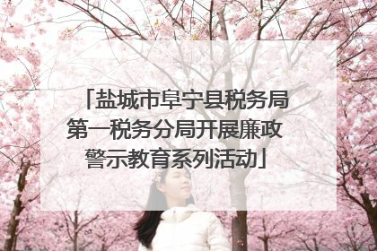 盐城市阜宁县税务局第一税务分局开展廉政警示教育系列活动