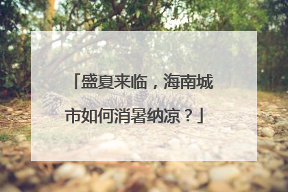 盛夏来临，海南城市如何消暑纳凉？