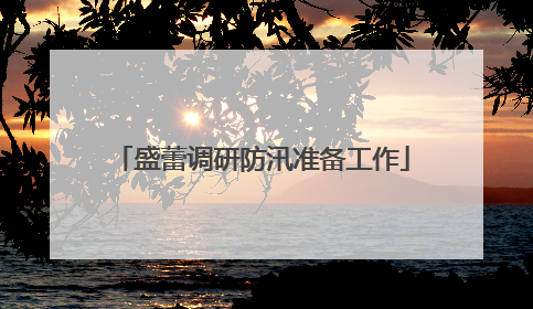 盛蕾调研防汛准备工作