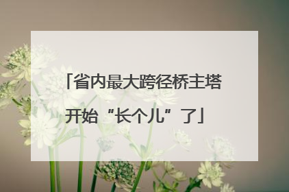 省内最大跨径桥主塔开始“长个儿”了