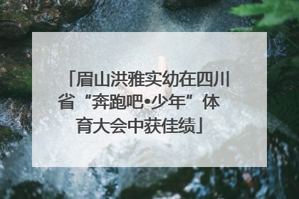 眉山洪雅实幼在四川省“奔跑吧•少年”体育大会中获佳绩