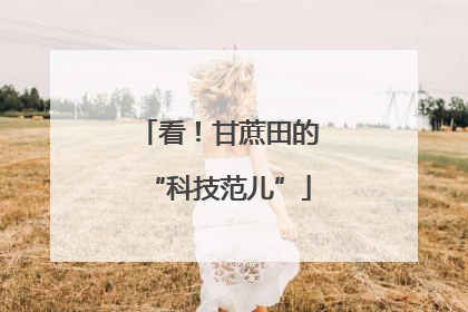 看！甘蔗田的“科技范儿”