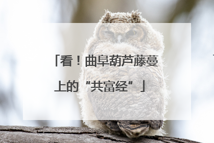 看！曲阜葫芦藤蔓上的“共富经”