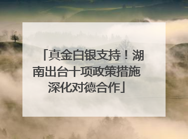 真金白银支持！湖南出台十项政策措施深化对德合作