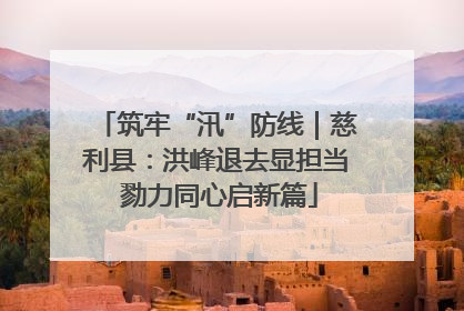 筑牢“汛”防线｜慈利县：洪峰退去显担当 勠力同心启新篇