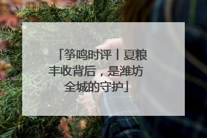 筝鸣时评丨夏粮丰收背后，是潍坊全城的守护