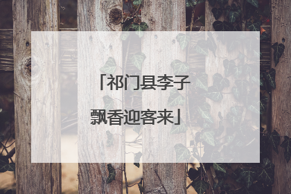 祁门县李子飘香迎客来