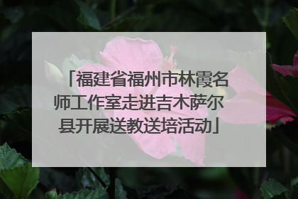 福建省福州市林霞名师工作室走进吉木萨尔县开展送教送培活动