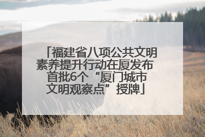 福建省八项公共文明素养提升行动在厦发布 首批6个“厦门城市文明观察点”授牌