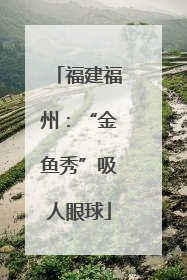 福建福州：“金鱼秀”吸人眼球