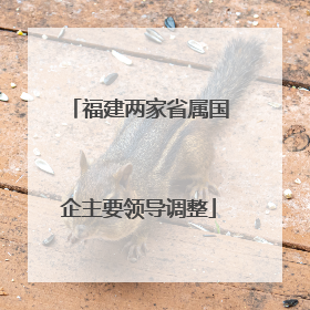 福建两家省属国企主要领导调整