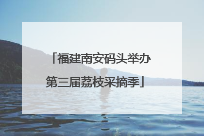 福建南安码头举办第三届荔枝采摘季