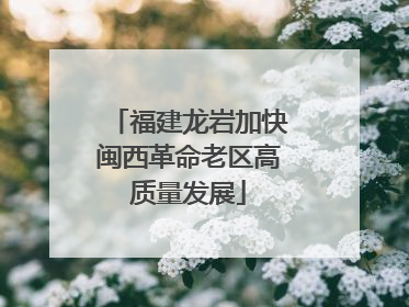 福建龙岩加快闽西革命老区高质量发展