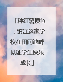 种红薯摸鱼，镇江这家学校在田间池畔见证学生快乐成长