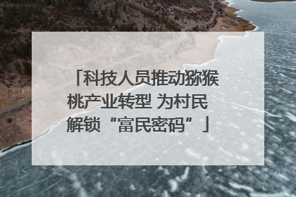 科技人员推动猕猴桃产业转型 为村民解锁“富民密码”