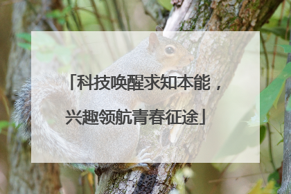 科技唤醒求知本能，兴趣领航青春征途