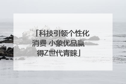 科技引领个性化消费 小象优品赢得Z世代青睐
