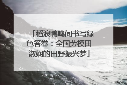 稻浪鸭鸣间书写绿色答卷：全国劳模田淑娴的田野振兴梦
