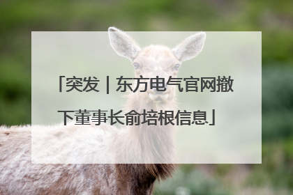 突发｜东方电气官网撤下董事长俞培根信息