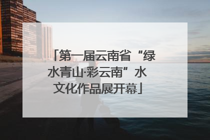第一届云南省“绿水青山·彩云南”水文化作品展开幕