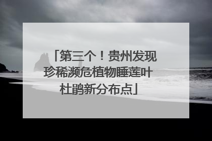 第三个！贵州发现珍稀濒危植物睡莲叶杜鹃新分布点